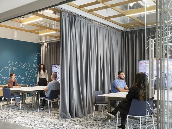 Ткань для штор Caimi Brevetti SNOWCURTAINS