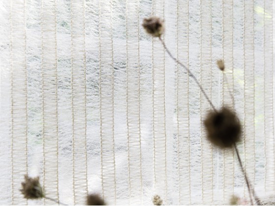 Ткань для штор Elitis ALLURE