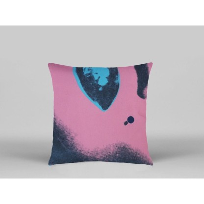 Диванные подушки HENZEL STUDIO ANDY WARHOL - AW05