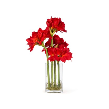 Ваза VGnewtrend ETERNITY AMARYLLIS RADISH