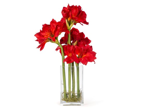 Ваза VGnewtrend ETERNITY AMARYLLIS RADISH