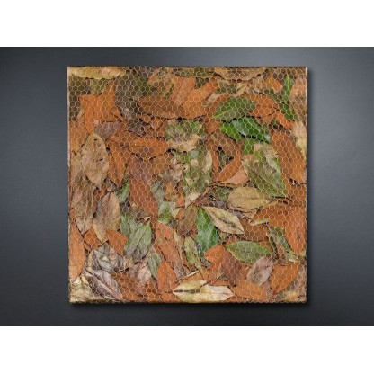 Рама с декоративными растениями VGnewtrend MAGNOLIA