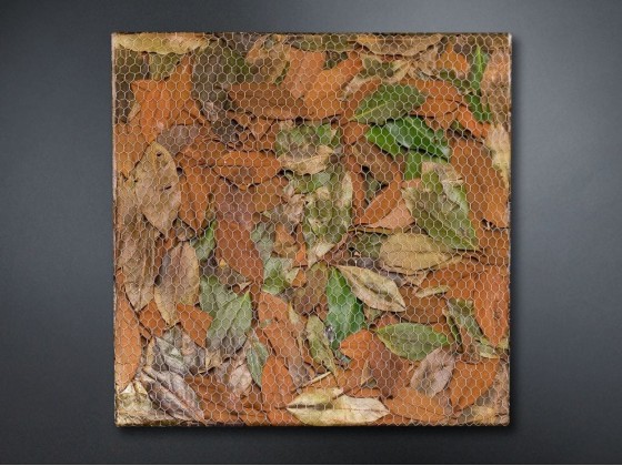 Рама с декоративными растениями VGnewtrend MAGNOLIA