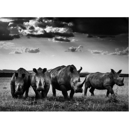 Акустические стеновые панели MOMENTI LB-014