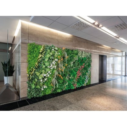 Рамы с декоративными растениями VGnewtrend DAINTREE WALL