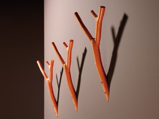 Вешалка для одежды rosconi AST