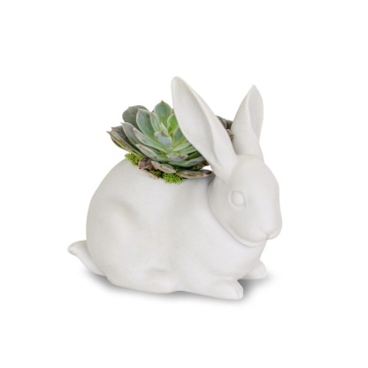 Декор Lladro BUNNY GARDEN