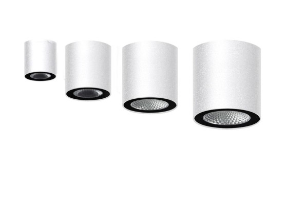 Потолочные светильники Ghidini Lighting PUNTO RD