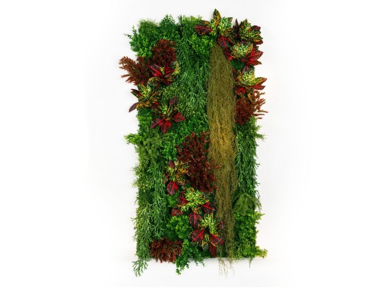 Рама с декоративными растениями VGnewtrend CADDO