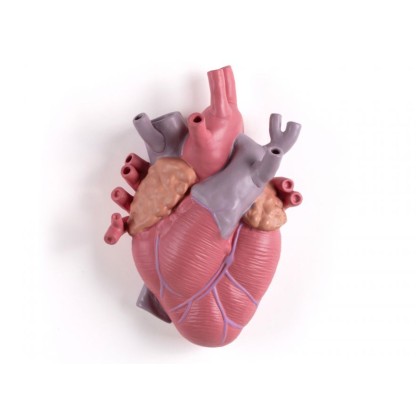 Ваза In Stock SELETTI - LOVE IN BLOOM COLOR