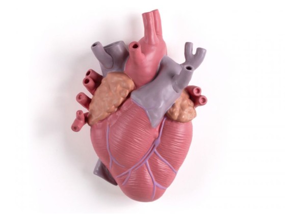 Ваза In Stock SELETTI - LOVE IN BLOOM COLOR