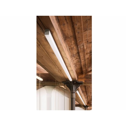 Потолочные светильники Olev SWORD