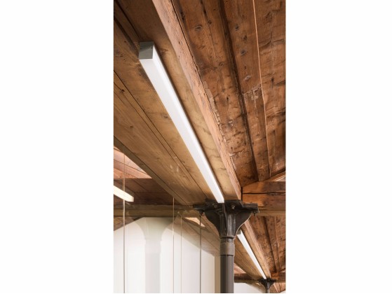 Потолочные светильники Olev SWORD