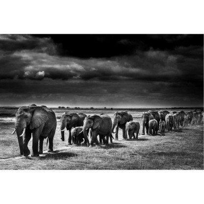 Акустические стеновые панели MOMENTI LB-015