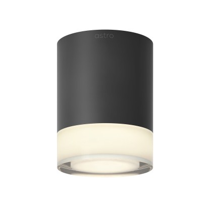 Потолочные светильники Astro Lighting OTTAWA