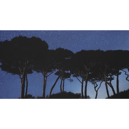 Плакат ARTDESIGNBOX CHORA