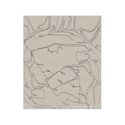 Ковер Tapis Rouge Distribution DARFO GRIGIO FUME