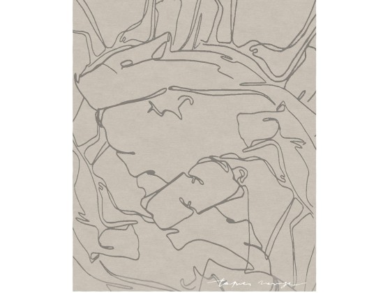 Ковер Tapis Rouge Distribution DARFO GRIGIO FUME