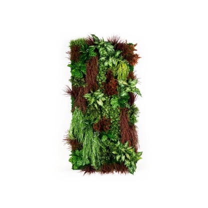 Рама с декоративными растениями VGnewtrend RATA