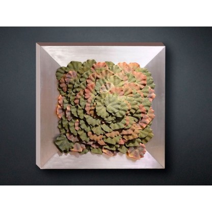 Рама с декоративными растениями VGnewtrend BEGONIA