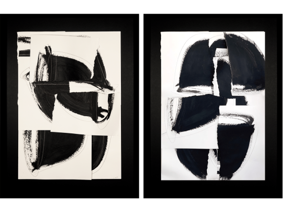 Картина NOVOCUADRO ART COMPANY Mistral I &amp; II