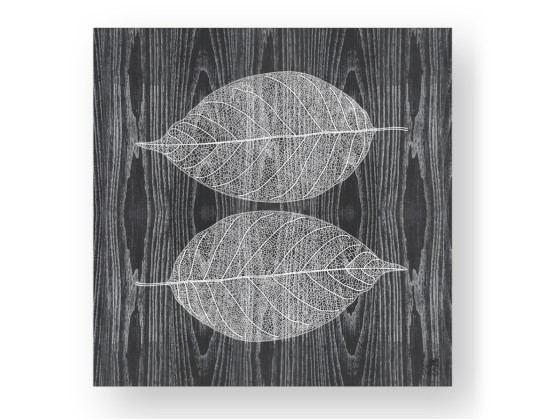 Картина LIGNIS® SKELETON COLORS