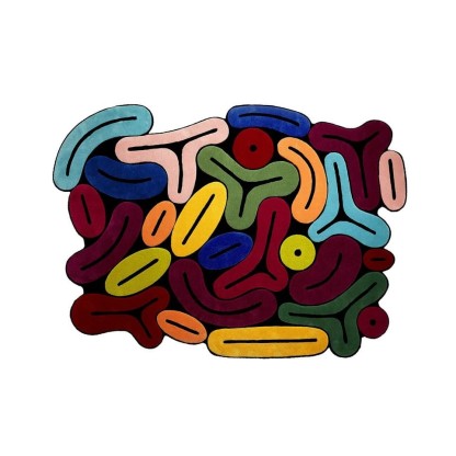 Ковер Roche Bobois BOMBOM TUTTI FRUTTI