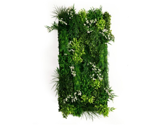 Рама с декоративными растениями VGnewtrend MELEDA