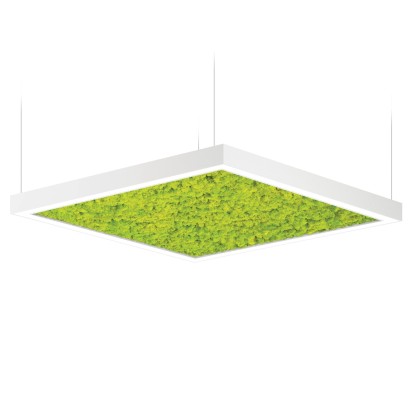 Подвесные светильники Intra lighting ACOUSTO SQUARE S-SDI