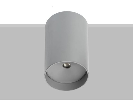 Потолочные светильники Flexalighting KOINE 2