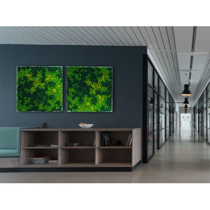 Рама с декоративными растениями Freund GmbH EVERGREEN PREMIUM MOSS PICTURES