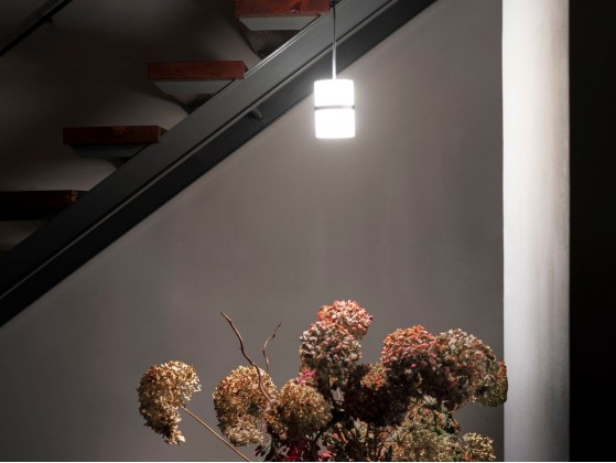 Подвесные светильники Firmamento Milano PICCOLA BOA