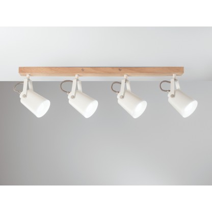 Потолочные светильники Fan Europe Lighting EDA