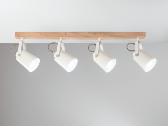 Потолочные светильники Fan Europe Lighting EDA