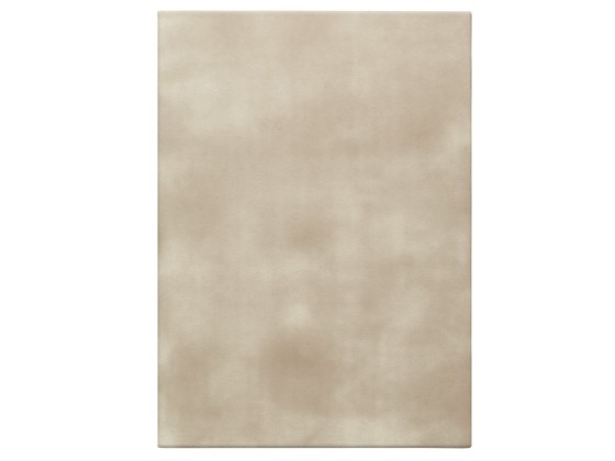 Ковер Feyyn SENSUAL NATURA