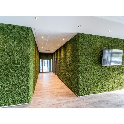 Искусственное вертикальное озеленение Freund GmbH EVERGREEN PREMIUM MOSS WALLS