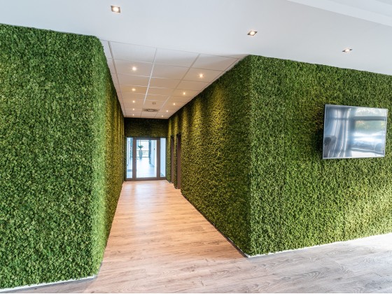 Искусственное вертикальное озеленение Freund GmbH EVERGREEN PREMIUM MOSS WALLS