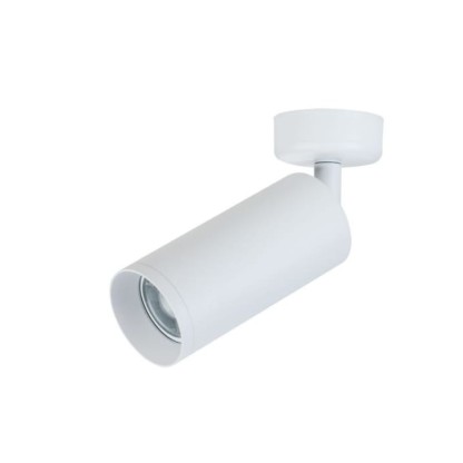 Потолочные светильники MAYTONI FOCUS