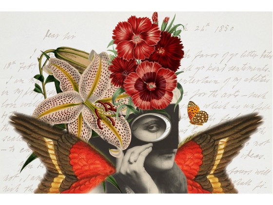 Акустические стеновые панели MOMENTI JE-002