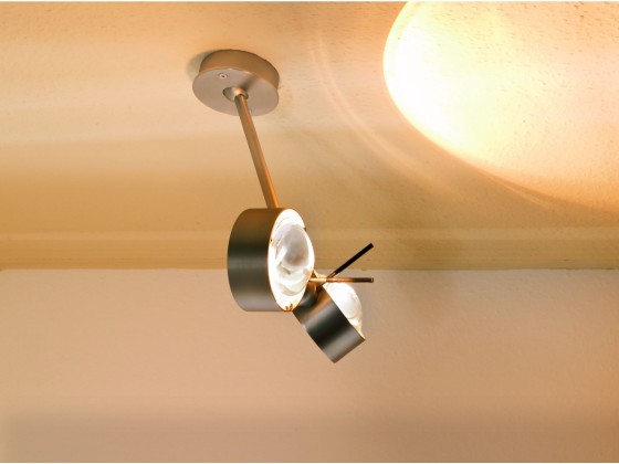 Потолочные светильники Top Light PUK WING TWIN