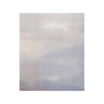 Ковер Tapis Rouge Distribution ZEPHYR