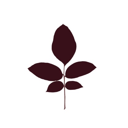 Трафаретный декор Magis LEAVES WALNUT