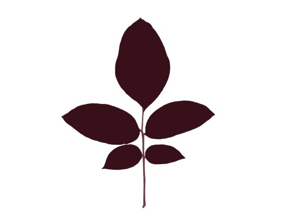 Трафаретный декор Magis LEAVES WALNUT