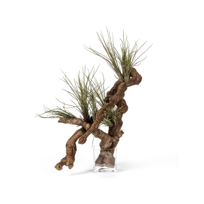 Ваза VGnewtrend ETERNITY CUBE TRUNK VINE