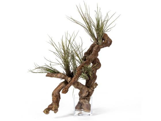 Ваза VGnewtrend ETERNITY CUBE TRUNK VINE