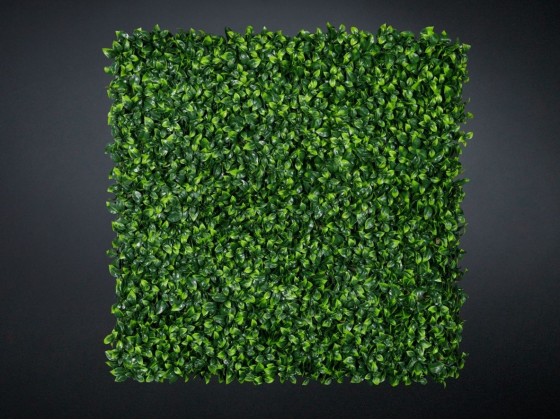 Живые стены VGnewtrend GELSOMINO