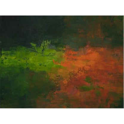 Картина NOVOCUADRO ART COMPANY Daintree Forest