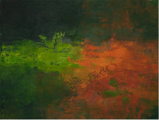 Картина NOVOCUADRO ART COMPANY Daintree Forest