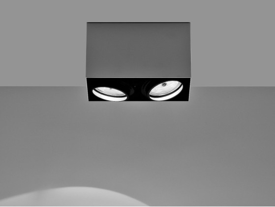 Потолочные светильники DAVIDE GROPPI PUNTO 2PL