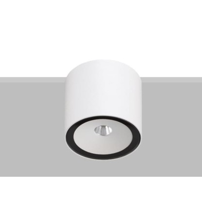 Потолочные светильники Flexalighting SASABUNE